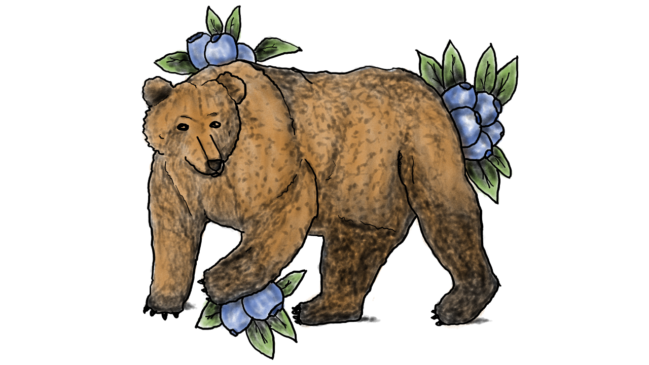 Bluberry Bear